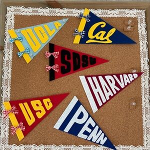 University felt Pennant Flags